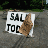 Sal Tod Free