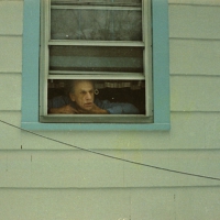 Cornell in the Window