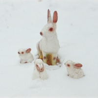 Rabbits