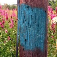 Blue Pole