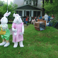 Bunnies