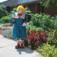 Garden Clown