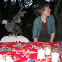 Turkey Dinner