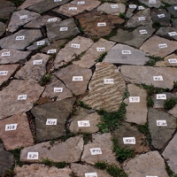 Numbered Stones in Provincetown