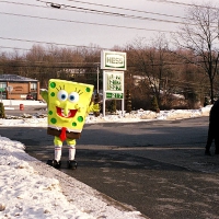 Sponge Bob
