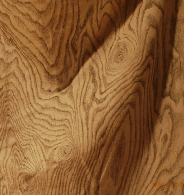 Draped Plywood 1 (Detail)
