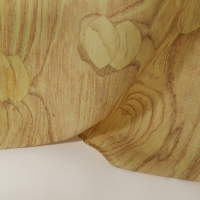 30 - Draped Plywood 3 (detail) (smaller for site)