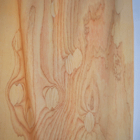 Draped Plywood 3 (Detail)