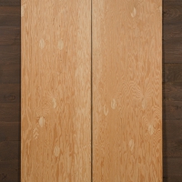 Folded Pywood 22