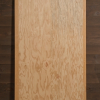 Folded Plywood 23