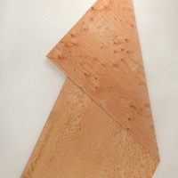 Folded Plywood 11