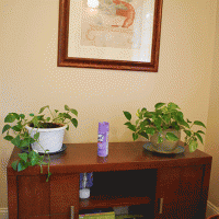 Lagrange Physical Therapy