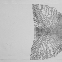 Interrupted Weave