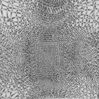 Interrupted Weave (Detail)