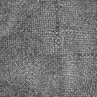 Weave XVIII