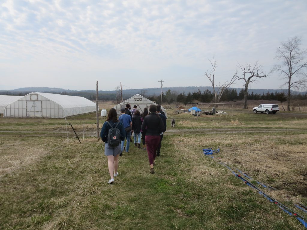 Letterbox Farm Collective by Julia and Greg Sustaining Hudson