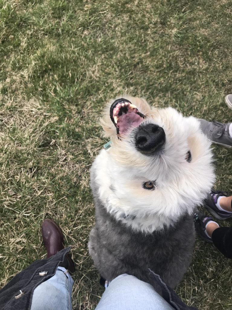 Letterbox Farm Collective by Julia and Greg Sustaining Hudson