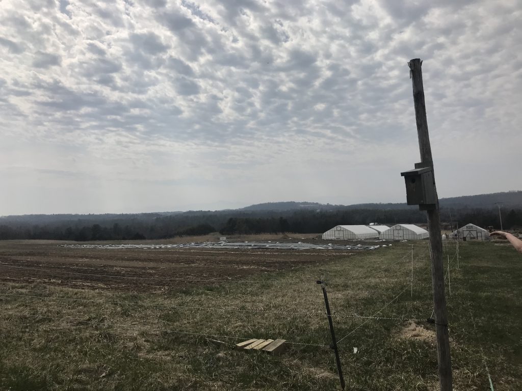 Letterbox Farm Collective by Julia and Greg Sustaining Hudson Valley Agriculture