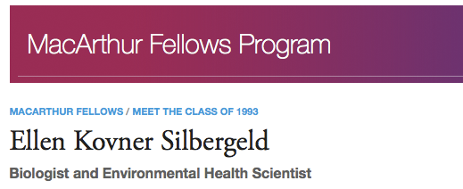 Ellen Kovner Silbergeld MacArthur Genius Award profile