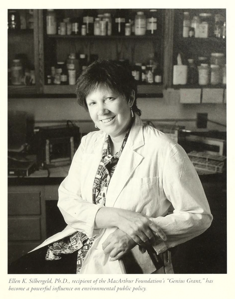 Ellen Silbergeld profile in Bulletin of the University of Maryland School of Medicine, Fall 1995