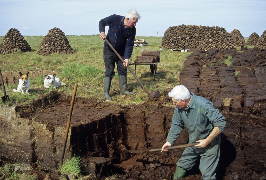 Ireland’s Bog Butter: Pastoralism And Preservation In The Mid Bronze ...