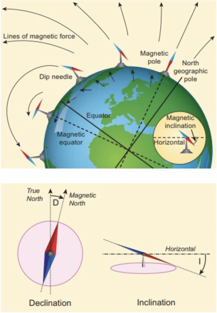 Bird Migration: A Magnetic Pull For Mating